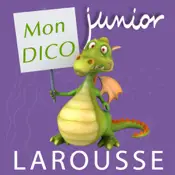 Warum funktioniert Dictionnaire Junior Larousse nicht?