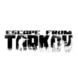 Warum funktioniert Escape from Tarkov nicht?