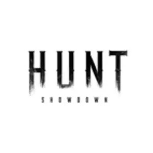 Warum funktioniert Hunt: showdown nicht?