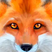 Warum funktioniert Ultimate Fox Simulator nicht?