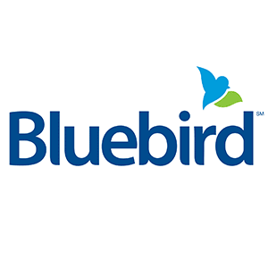 Is Bluebird down or not working?