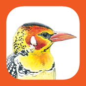 Is eGuide to Birds of East Africa down or not working?