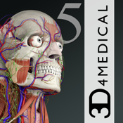 Is Essential Anatomy 5 down or not working?