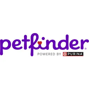 Is petfinder.com down or not working?