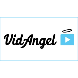 Is VidAngel down or not working?