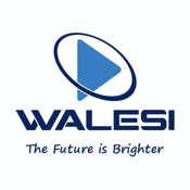 Is Walesi down or not working?