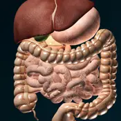 ORGANS 3D (ANATOMY) - pannes et problèmes