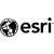 Environmental Systems Research Institute (ESRI)