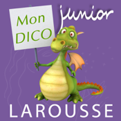 Problemi di Dictionnaire Junior Larousse e stato attuale