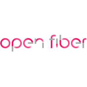 Problemi di Enel Open Fiber e stato attuale