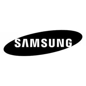 Problemi di Samsung e stato attuale