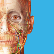 Human Anatomy Atlas 2023 の停止 - 障害、エラー、問題