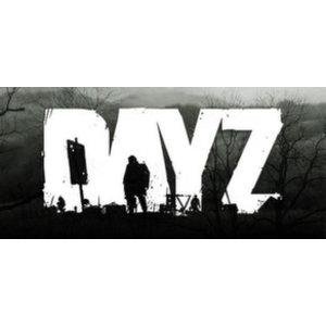 DayZ fungerar inte - aktuell status och fel
