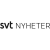 SVT Nyheter